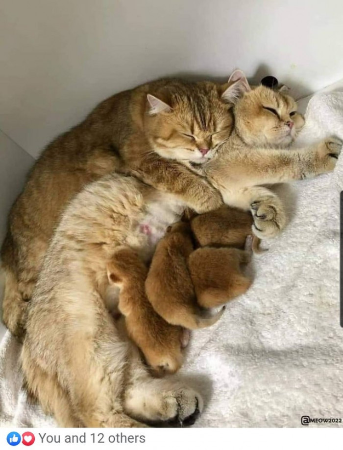 50. Dad is living his best life, Mom is contemplating her life choices.