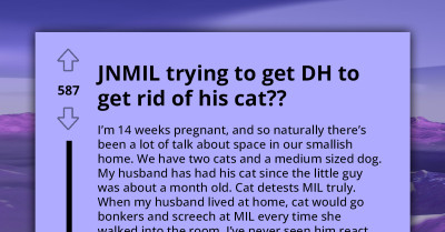 Mother Concerned About Son's Cat's Behavior and Worries About Its Interaction With Grandchild