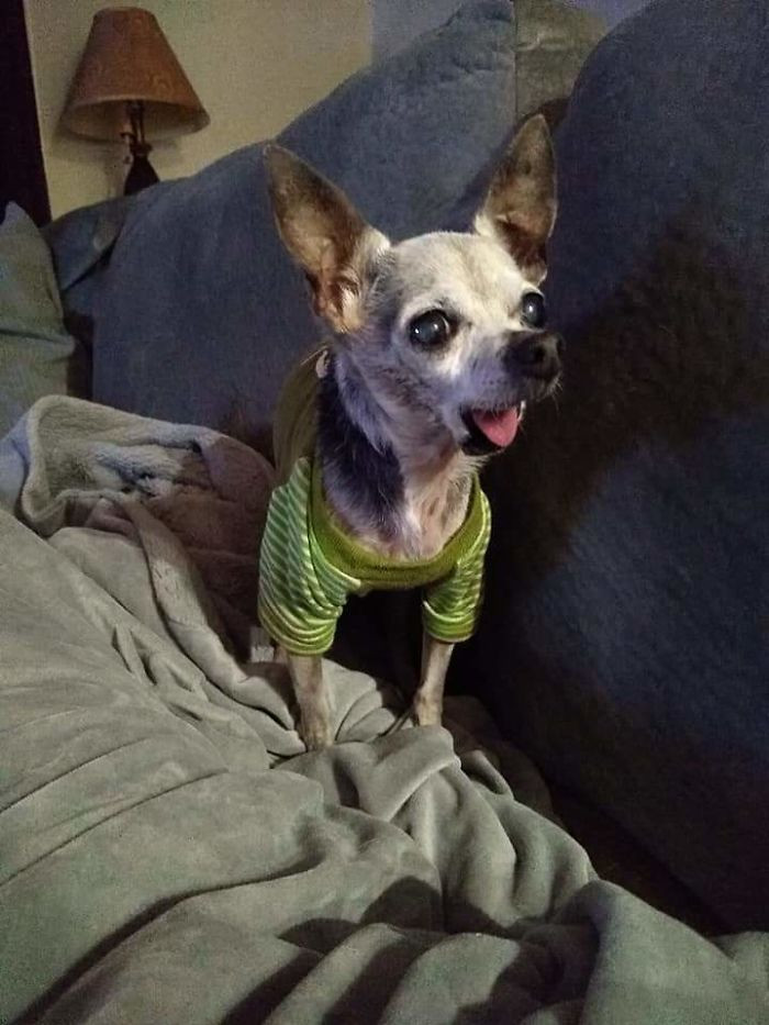 23. “Today Is My Dog, Tax’s 22nd Birthday. Still Truckin’ Along”