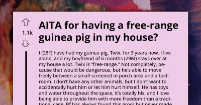 Grossed Out Boyfriend Is Furious Over Girlfriend's Guinea Pig In Living Spaces