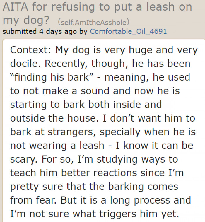According to the original poster (OP), their big dog is docile.