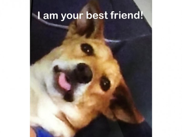 17. "You have got a companion who is never gonna betray you…"