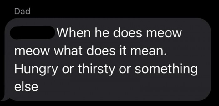 Apparently, her dad was trying to figure out what her cat was trying to say