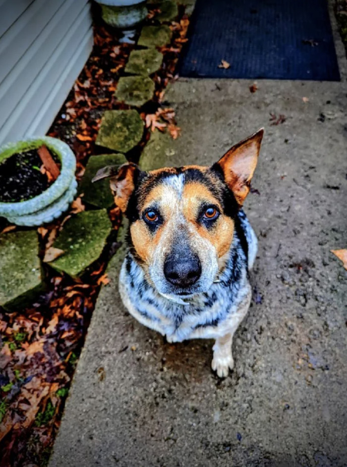 This is one beautiful picture