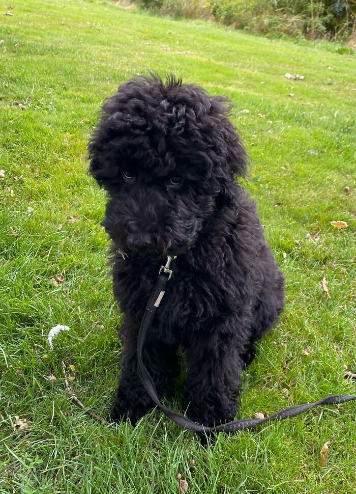 "I Told Him “No” When He Wanted To Eat A Rock"