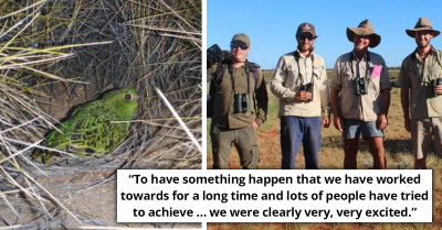 Thought to Be Extinct, Night Parrot Spotted After Not Being Seen for Over 100 Years