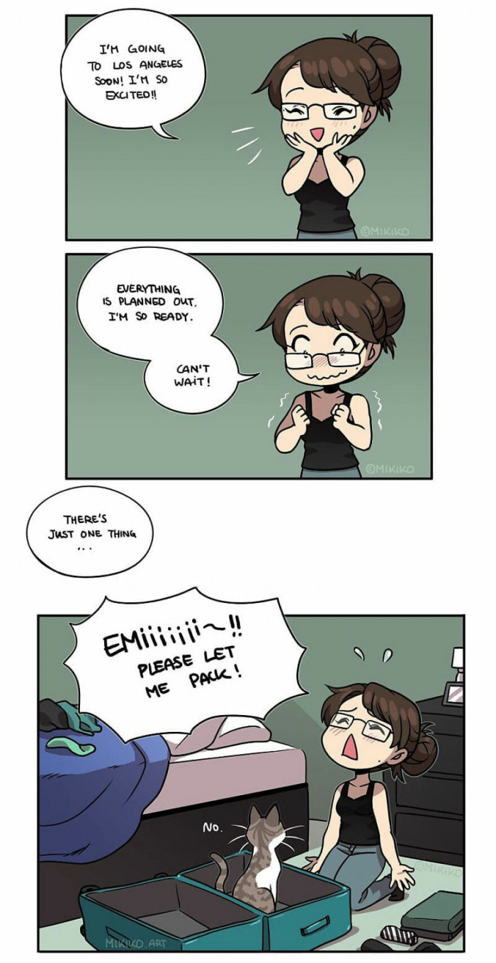 8. Cats will not let you leave them behind to get bored at home alone. If you're going on an adventure, they should go too.