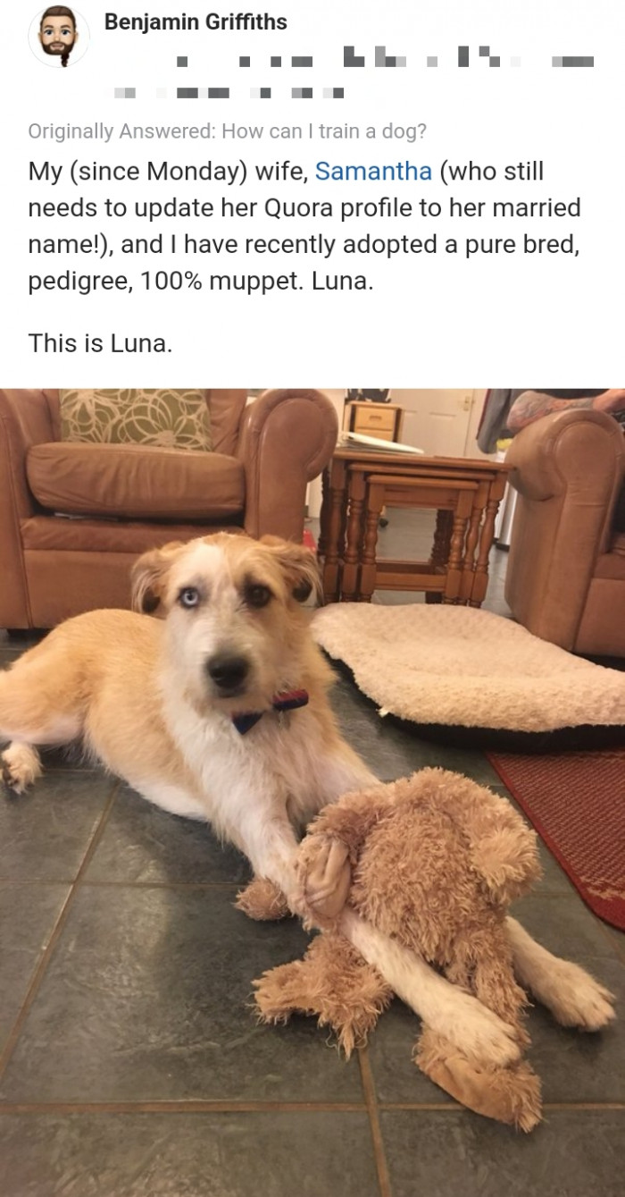 10. This is Luna