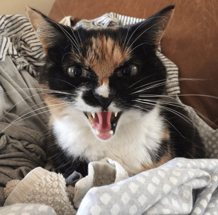 "Old picture, but I must’ve been getting told off for something"