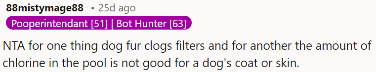 Dog fur clogs pool filters, and chlorine can harm a dog's coat and skin.