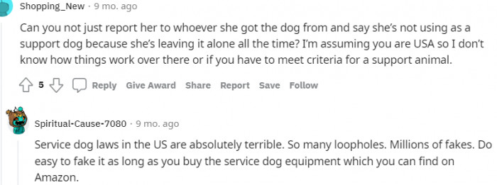 14. Can you just report to where she got the dog from?