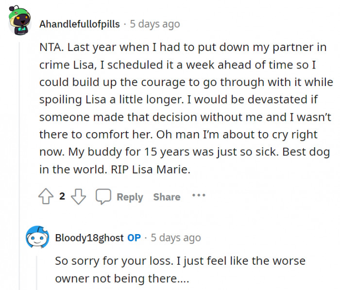 13. It's understandable that OP would feel like a bad owner for not being there for their pet's final moments