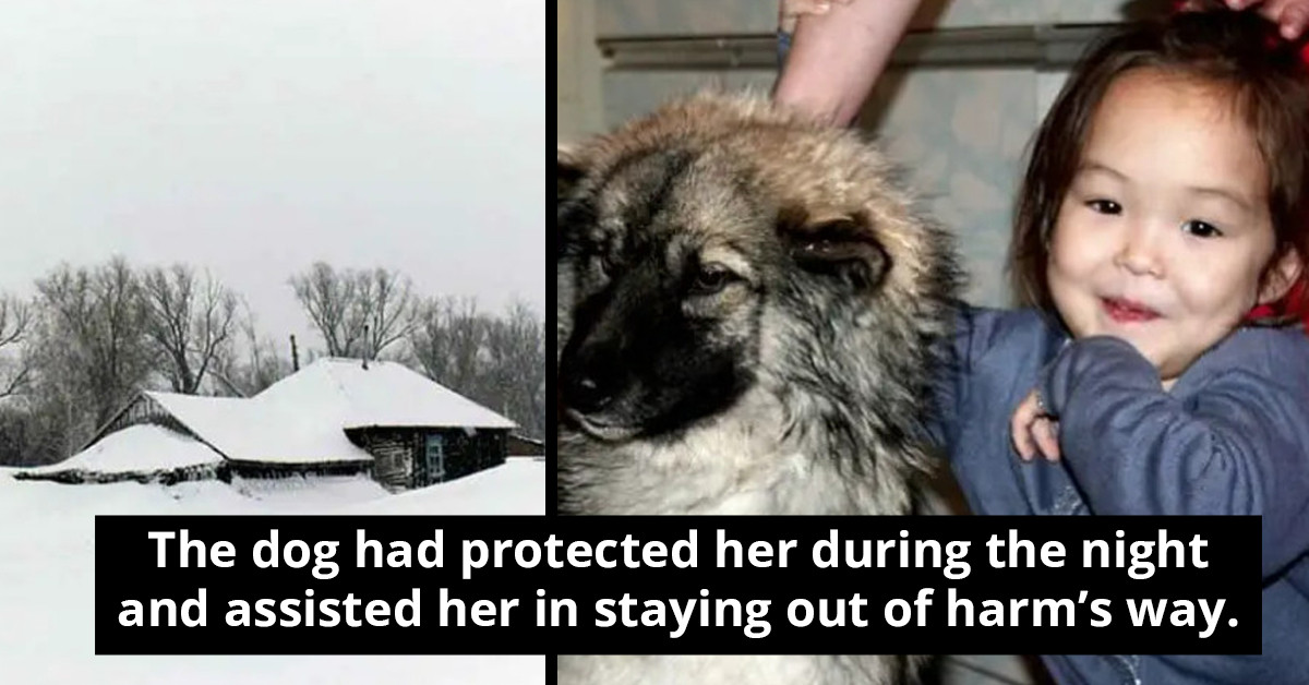 Heroic Dog Manages To Keep Two Kids Alive And Leds Them Safely Back Home Despite The Freezing Temperatures