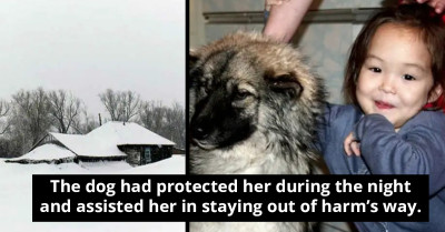 Heroic Dog Manages To Keep Two Kids Alive And Leds Them Safely Back Home Despite The Freezing Temperatures