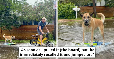 Smiling Man Caught On Camera Assisting His Dog While Surfing Around A Flooded Area