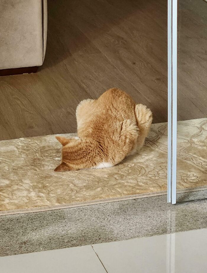 "Is This Normal? He Never Slept Like This"