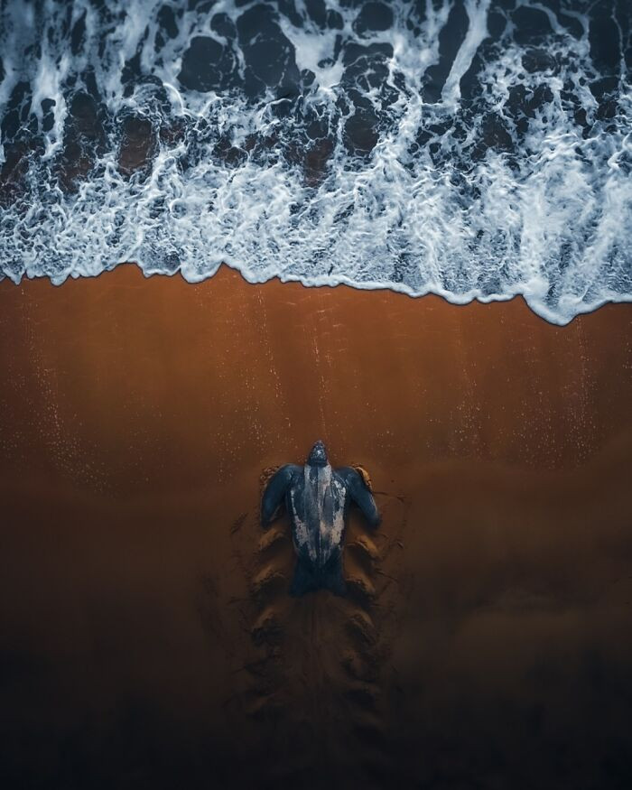 “Warrior” By Hugo Hebbe