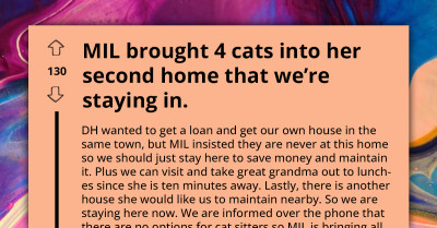 Mother's Rent-Free Property Offer to Son Comes with Feline Twist: They Have to Babysit Four Cats