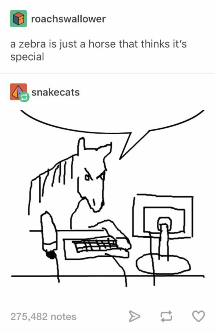 8. Look at the glorious stripes on that horse