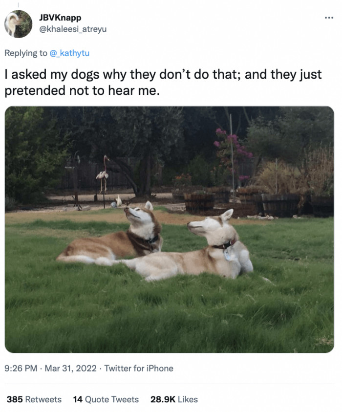 Pretending Not to Hear Me