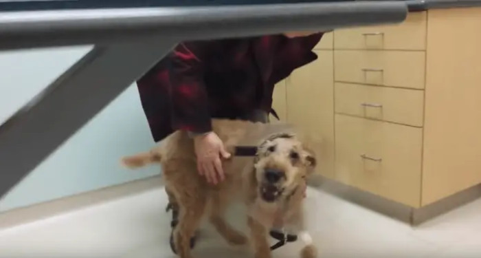 After a long wait, Duffy finally qualified for the eye surgery that would restore his sight