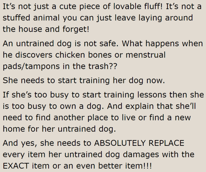 A Reddit user believes that the stepdaughter needs to allot time to train her destructive puppy.