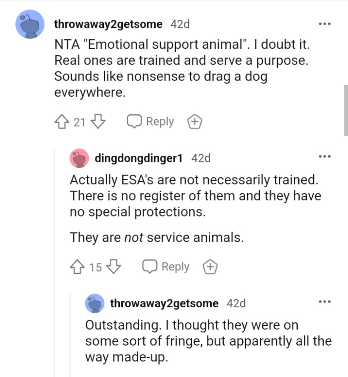 The Real Emotional Support Dogs Are Trained and Serve a Purpose