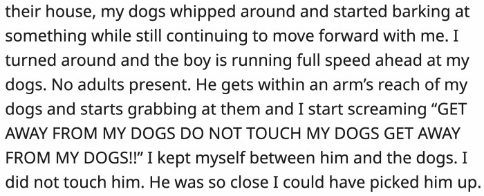 Suddenly, OP's dogs started barking, and that's when she saw the unattended boy run towards them, and she had to protect everyone.