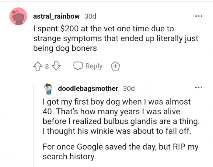 Spent money at the vet's to discover that it was dog boners