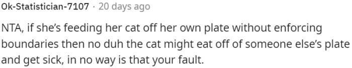 Feeding a cat off your own plate without setting boundaries may lead to the cat eating from someone else's plate and potentially getting sick.