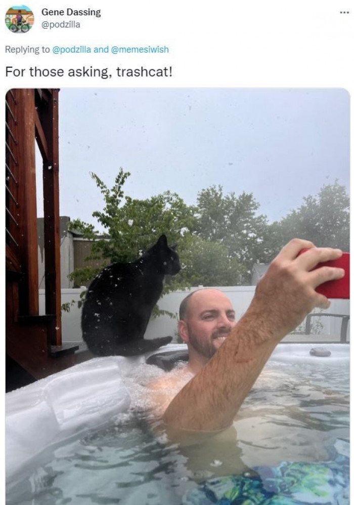 It's exactly as the signs mentioned. The Trashcat appears on the hot tub.