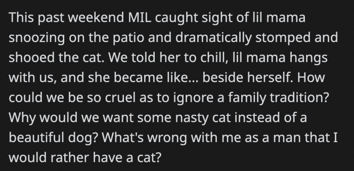 When his MIL came to visit, she discovered that it wasn't just a stray cat; it was essentially their pet