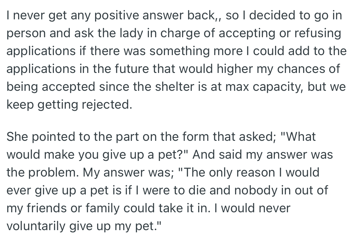 With no feedback from her request to adopt a cat, OP decided to visit the shelter in person. Surprisingly, she discovered her application had been rejected because of a section she answered incorrectly.