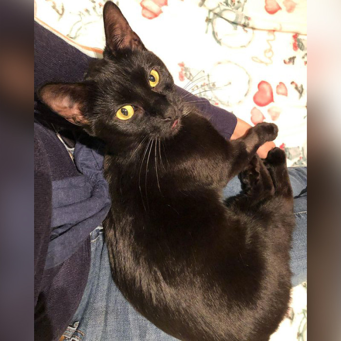 “Glory B… perfect, perfect girl.🌸” Stern shared.