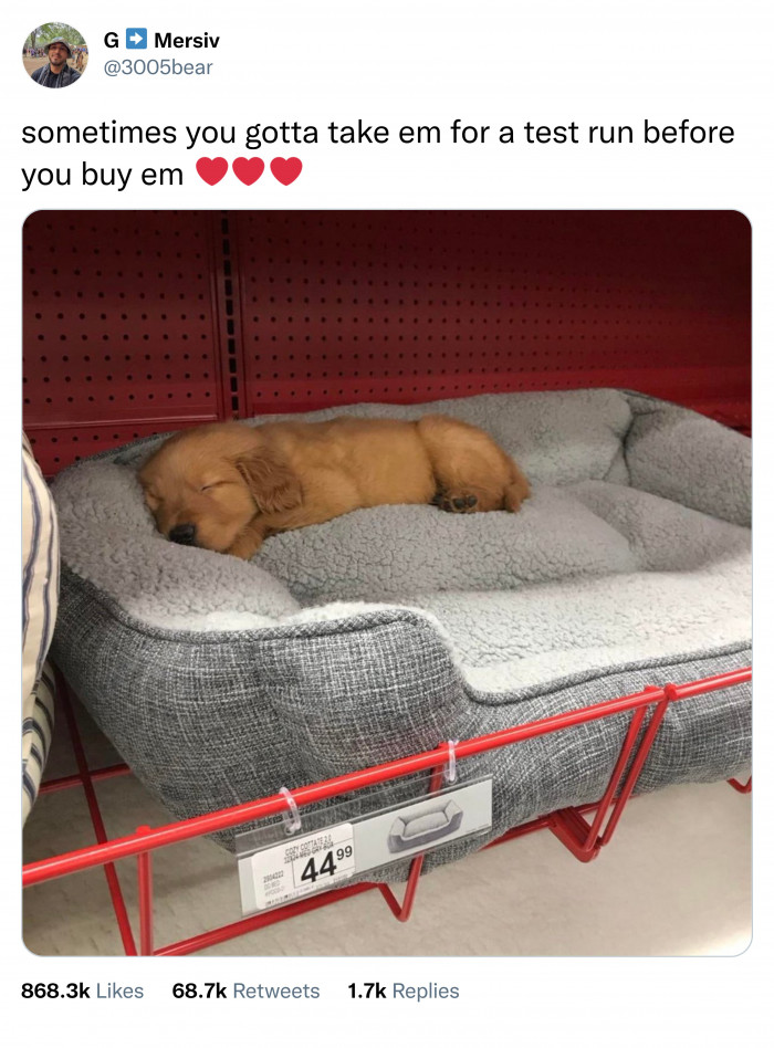 4. You can't buy it if they don't fall asleep instantly.