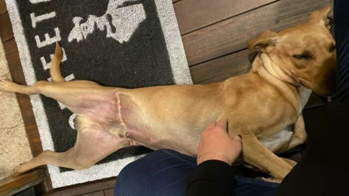 He seems very comfortable in entrances, it feels like