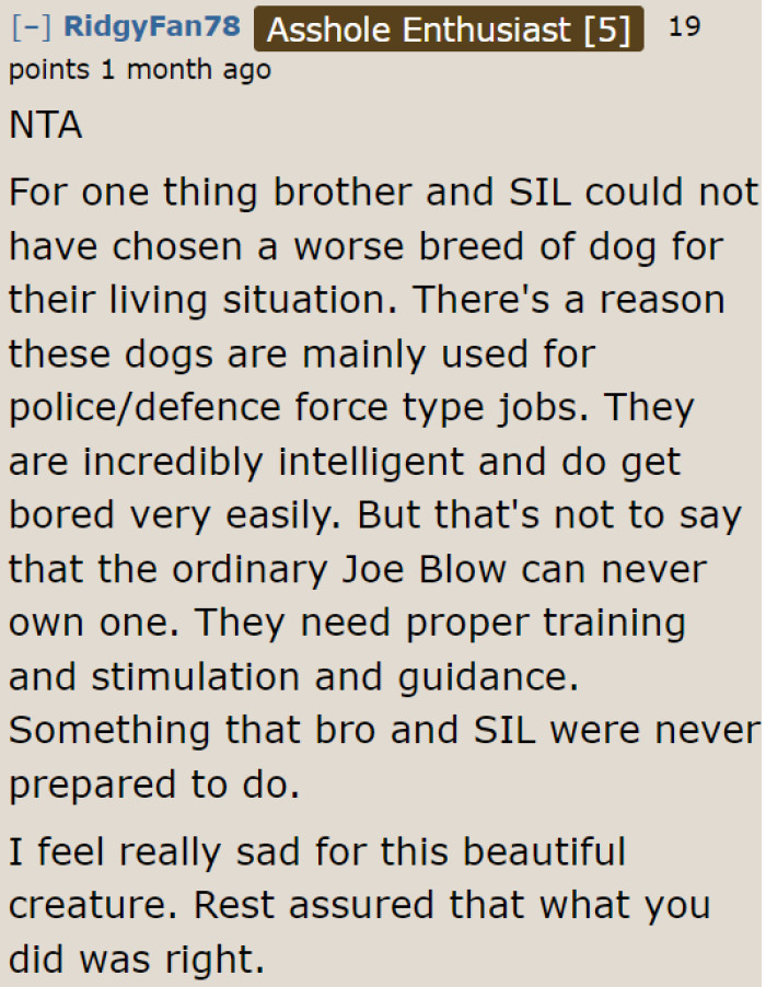 Choosing a German Shepherd was an irresponsible move. They shouldn't have chosen this breed if they don't have the time to care for it properly.