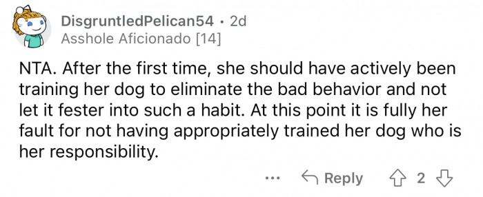 The sister is at fault for not properly training her dog.