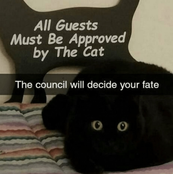 3. Yes, so if you're not approved by the cat, then...