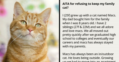 Young Woman Is Angry At Her Parents For Making Her Take In Their Elderly Family Cat They Got Bored With