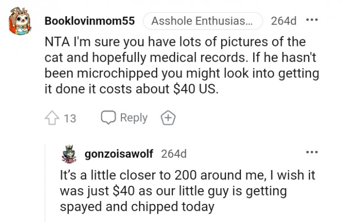 You might look into getting the cat microchipped