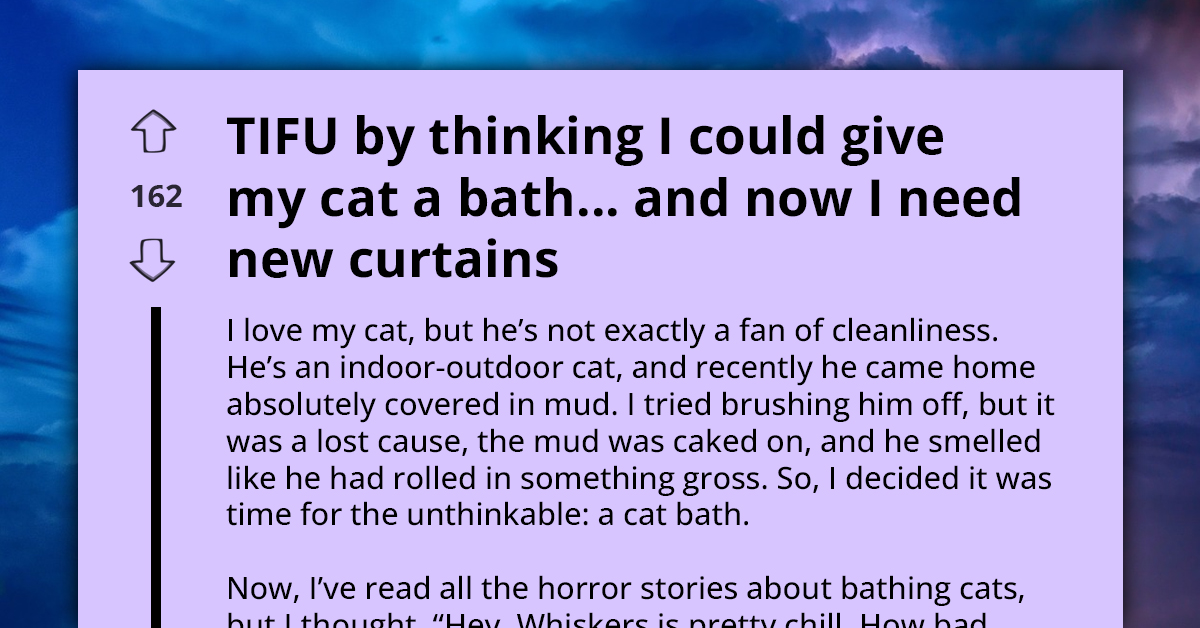 Hilarious Story Of How Redditor Ended Up Regretting Trying To Bathe Their Cat