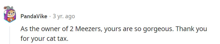 Appreciating the owner's two Meezers, their beauty is truly a delight. The gesture of sharing a cat tax is a treat for cat enthusiasts everywhere.