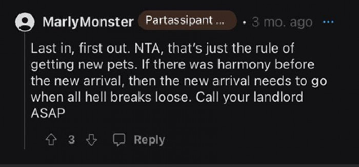 We all get it. Missy is a good cat, but rules are rules!