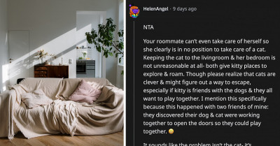 Frustrated Redditor Loses Patience With Their Messy Flatmate Who Doesn't Clean Up After Herself And The New Cat She Adopted
