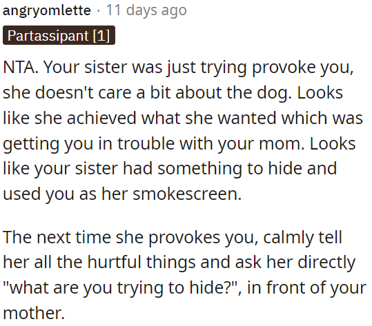OP's sister's provocation seems calculated to get OP in trouble, not about caring for the dog.