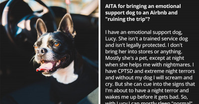 Poor Girl Suffering From C-PTSD Gets Kicked From Vacation By Her Friends For Bringing Her Support Dog