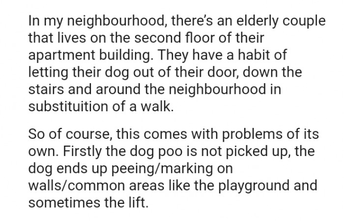 Off-leashing Their Dogs Comes with Problems