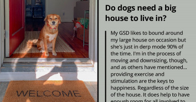 Redditor Planning To Adopt A Dog Wonders If The Home Is Spacious Enough For The Dog’s Comfort