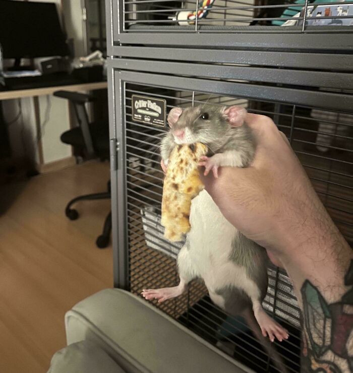 "Father! Why Won’t You Let Me Consume The Crust?!"